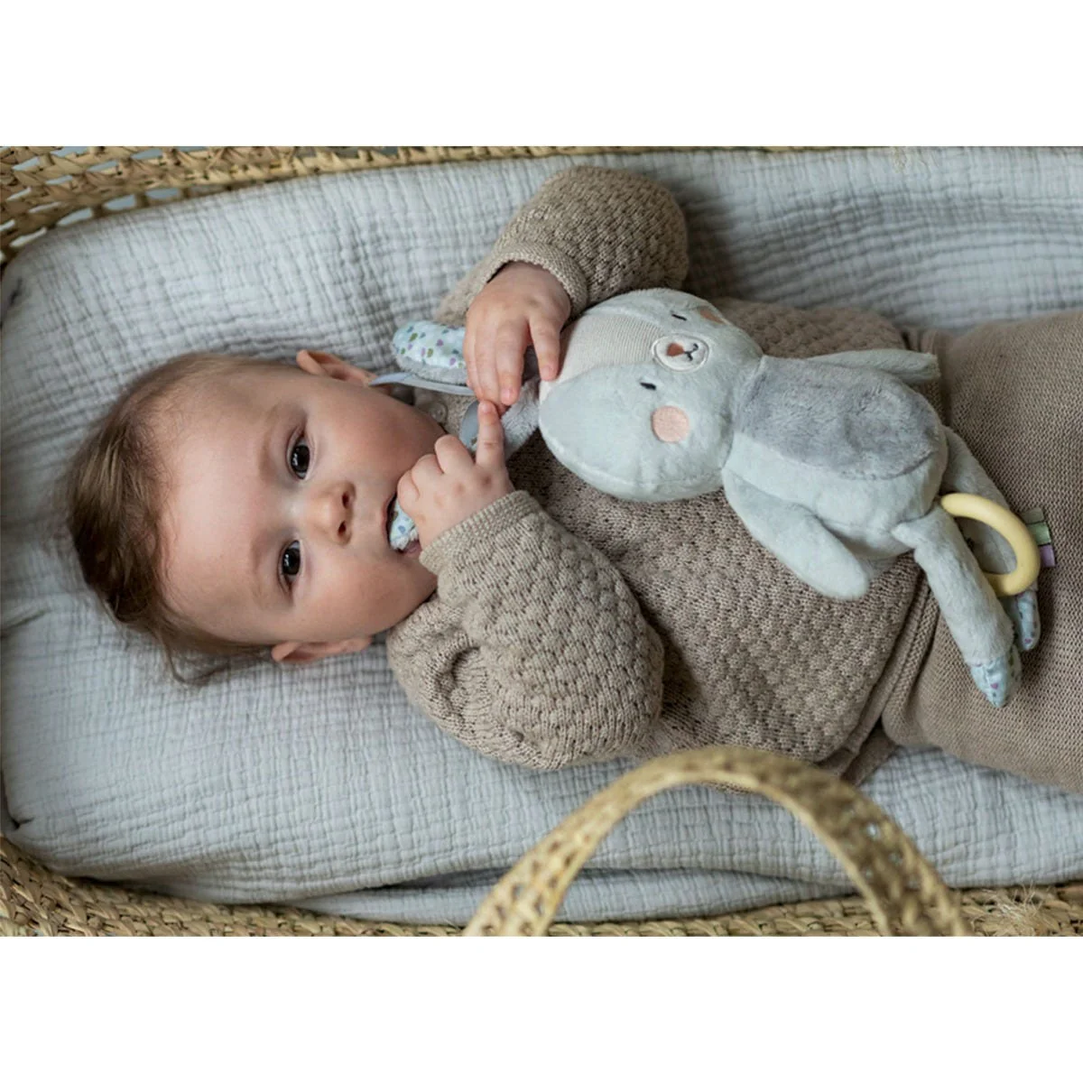 Lapin Musical - Image 6