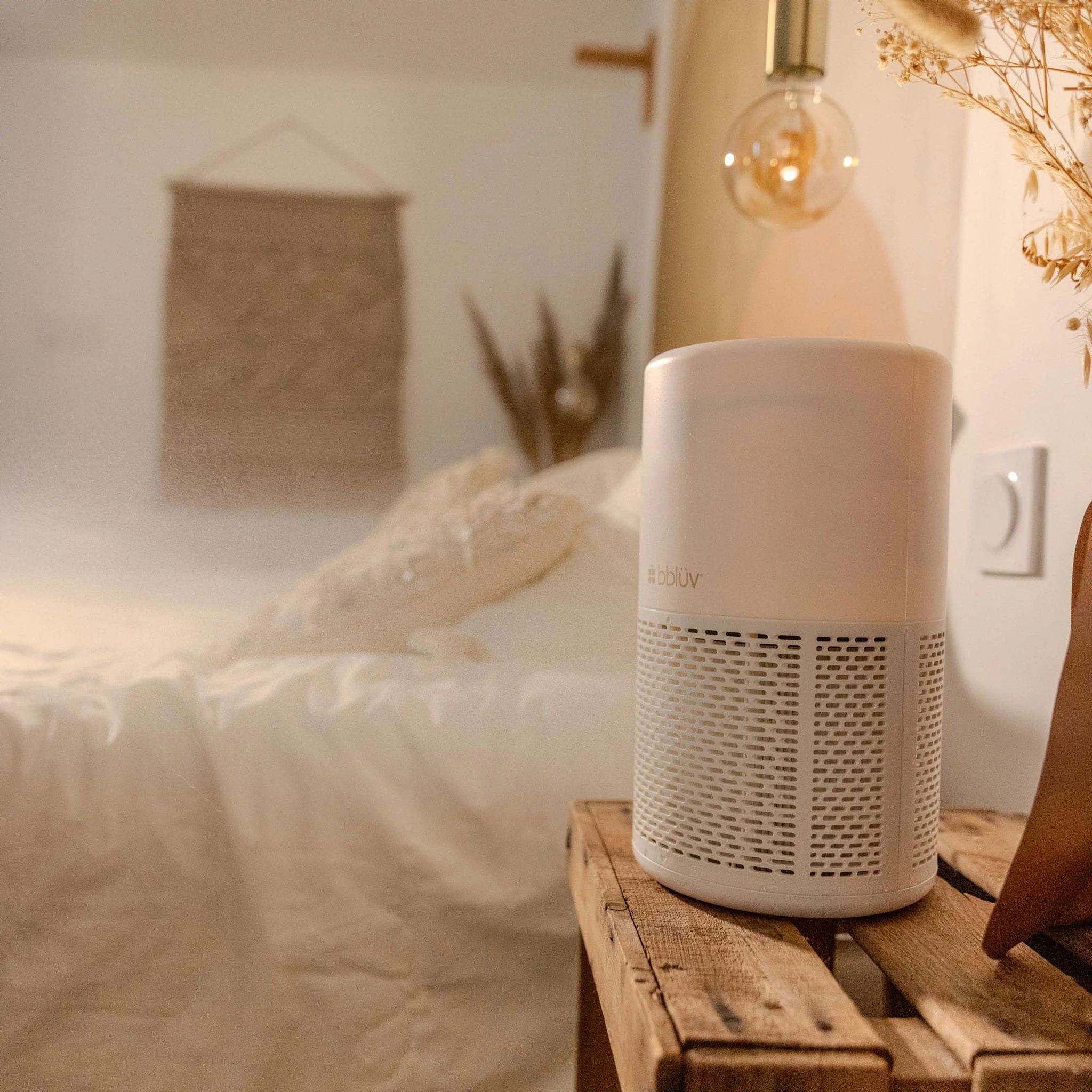 Purificateur D'air Pure Pro - Image 3